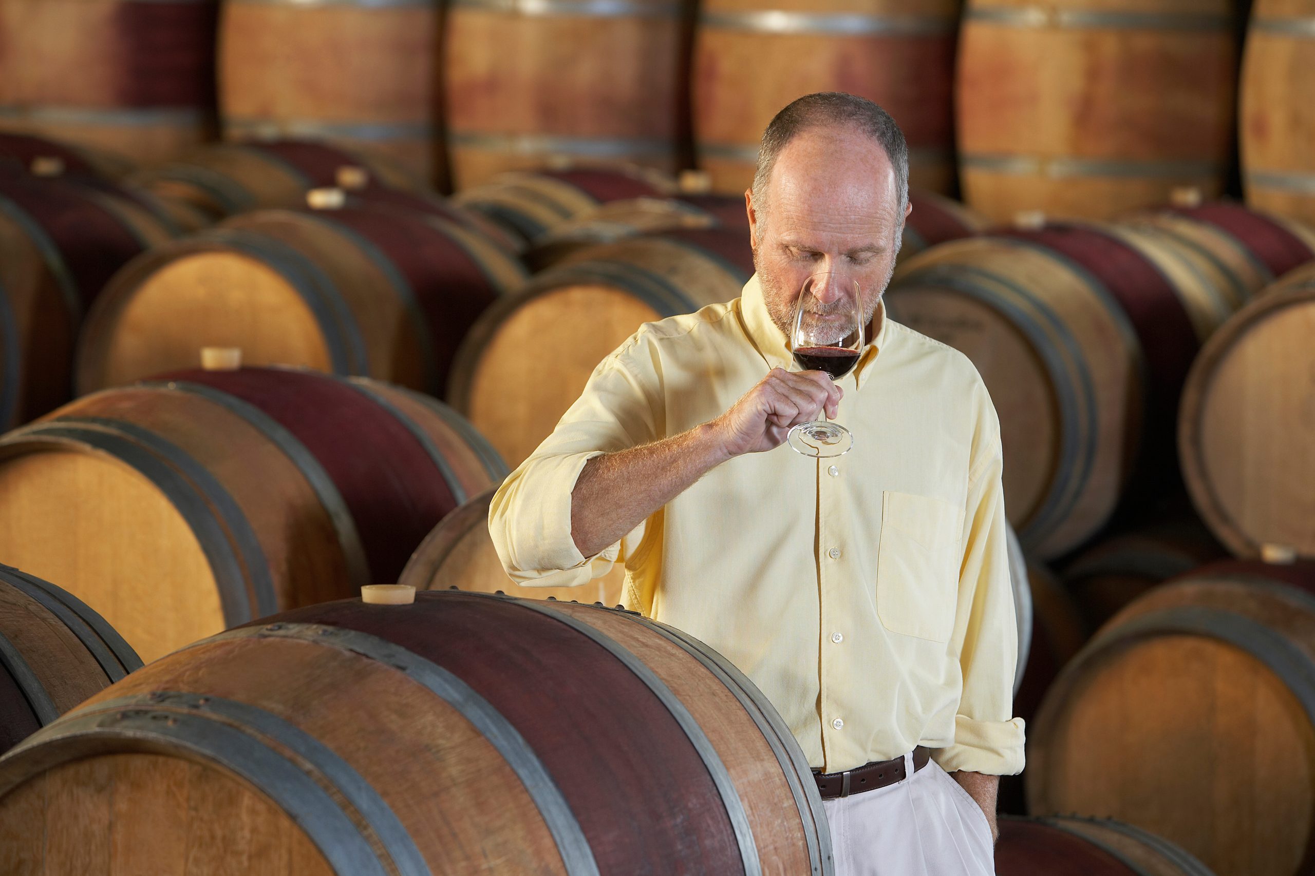 Middle aged man tasting red wine surrounded by barrel in cellar