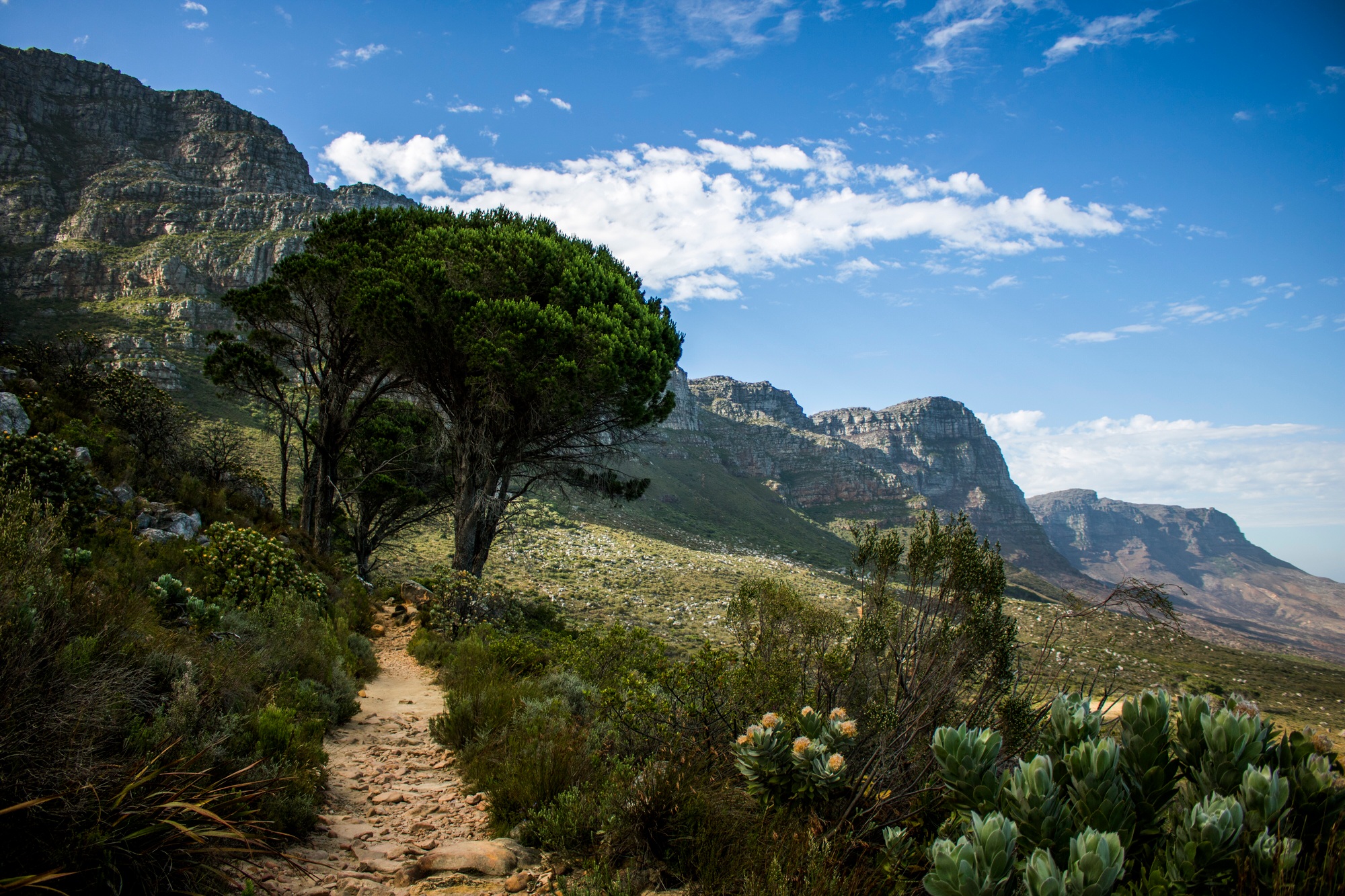 Beautiful Pipetrack Hike 2 - Cape Town