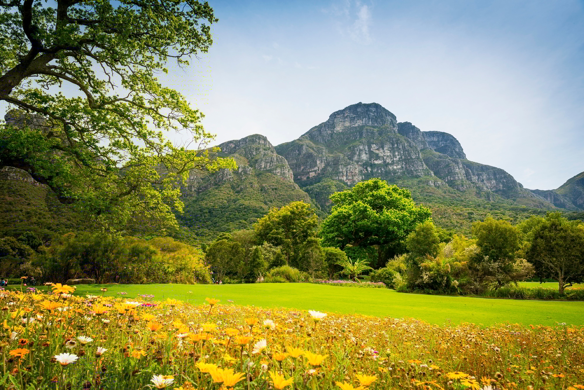 Table Mountain Cape Town, South Africa